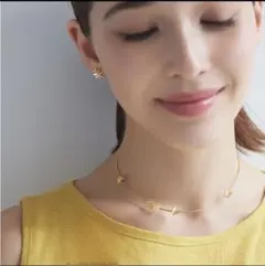 2026年最新】AHKAH アーカー パピヨンブリリアンプチの人気
