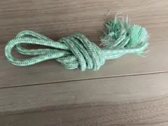 Item thumbnail for item 87ea7dda-c9d5-4310-b7d8-b57190d3f810