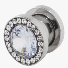 0G フレッシュトンネル　ピアス