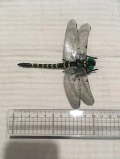 【新品】オニヤンマ　虫除けストラップ 約10cm