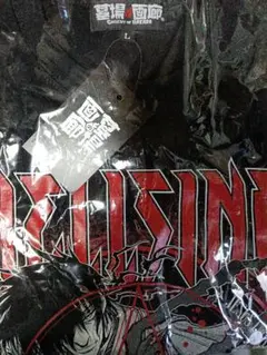 平野耕太　アーカード　Tシャツ　ヘルシング　HELLSING　Ｌサイズ