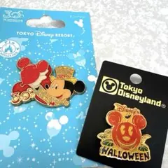 【未使用品】東京ディズニーランド ミッキーピンバッジ2個セット
