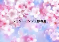 シェリーアンジュ様専用　お薬手帳ケース　ファスナータイプ