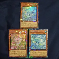 遊戯王　マルチャミーフワロス　ニャルス　プルリア　コレクターズレア