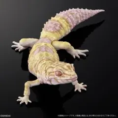 いきもの大図鑑アドバンス レオパードゲッコー ベルアルビノ