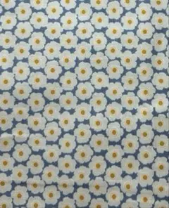 Item thumbnail for item 06fbb380-4f27-4a42-ba68-8989efd48ca3