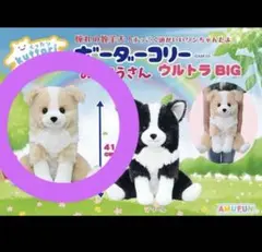 2026年最新】くったりボーダーコリーの人気アイテム - メルカリ