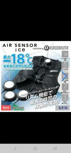 ワークマン ペルチェベスト PRO2 WZ-5 冷暖房 スペシャルエディション