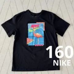 NIKE フラミンゴ Tシャツ ブラック 160サイズ