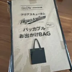 ❶GLOW 1月号　付録　パッカブルお出かけBAG