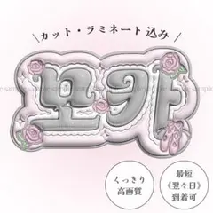ぷっくり ネームボード うちわ文字 モカ ILLIT アイリット ピンク
