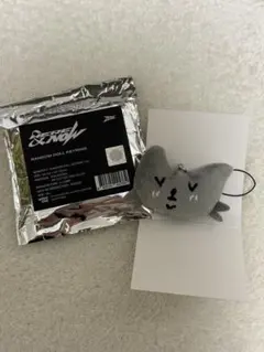 ZB1 ジウン　キーリング