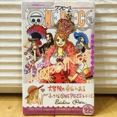 初版・シュリンク付】ワンピース ONEPIECE ノベルヒロインズ 2冊