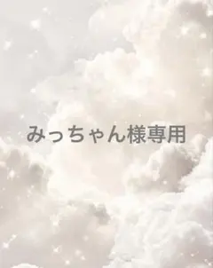 みっちゃん様専用　【新品】　大容量　エコバッグ　 軽量　キャラクター　2点