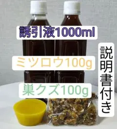 Item thumbnail for item 8f6dbe49-dfec-4d4e-89d1-e0fffb96697a