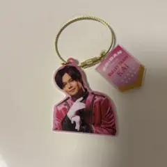 エビライ アクキー 超特急 カイ