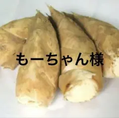 もーちゃん様　京都山城産　朝掘り筍2kg小さめ関東クール便