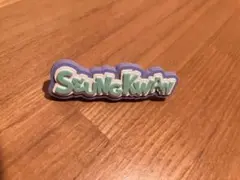 SEVENTEEN's HOMEデコパーツ　スングァン