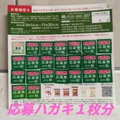 フジパン応募券2025秋「ミッフィーコットンバッグ」１個分