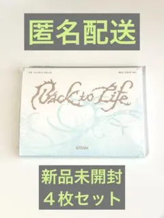 &TEAM Back to Life Mini Album BTL 新品 未開封