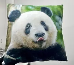 【超レア・即完売品】シャンシャン　クッションカバー　上野動物園　雅安　中国 2026年最新】上野動物園 シャンシャン クッションの人気アイテム