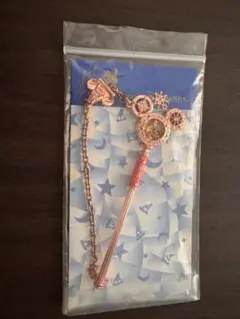 東京ディズニーシー10周年記念　バッグチェーン