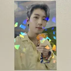 SEVENTEEN Sector17 ユニバ ラキドロ ウォヌ トレカ