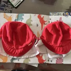 Item thumbnail for item 4b36a06d-171b-4f8f-9fc2-4a1f79d0b527