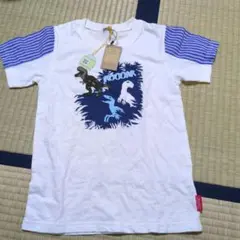 Item thumbnail for item 5c1e0fe4-c92e-4fdc-b5cc-2731f81918d0