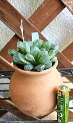 シーズン様 リクエスト 5点 まとめ商品