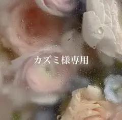 カズミ様専用　3点