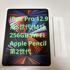 【美品】iPad Pro 12.9インチ 256GB 第5世代 M1