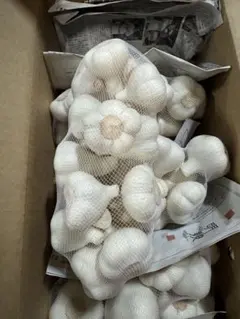 青森県産 令和8年 生にんにく 福地ホワイト六片 L 1kg - メルカリ