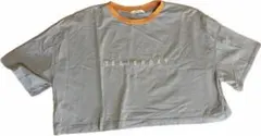 ボーダー　ショート丈　リンガーTシャツ Fサイズのサムネイル