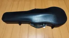 Item thumbnail for item 63663d9e-30f1-4ca1-9c4a-ec69eccabd94