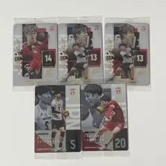 バレーボール 日本代表 ウエハース カード 5枚セット