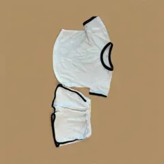 ホワイト Tシャツ ショートパンツ セット セットアップ