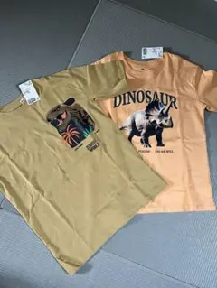 Item thumbnail for item 04ffa4ae-ff70-4c8f-a706-2edcfaf78b22