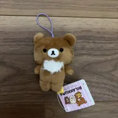 2026年最新】チャイロイコグマぬいぐるみの人気アイテム - メルカリ