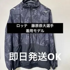 Item thumbnail for item 3e67dfa3-1f1d-402f-afb8-e434c07d0f8f