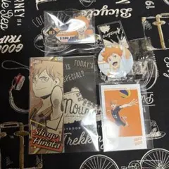 ハイキュー 日向翔陽 缶バッジ ネームバッジ ステッカー