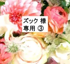 ズック 様 専用③ DWE ディズニー英語システム 最新版 2022年2月