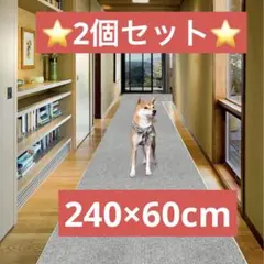 Item thumbnail for item cb940e14-9752-46b8-be84-3b580bcf9c1c