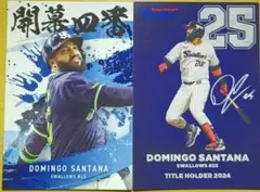 サンタナ　2枚セット　プロ野球チップスカード　東京ヤクルトスワローズ