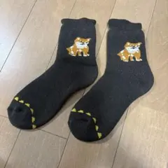 Item thumbnail for item 0e893535-33bd-47f8-8918-ac55def8c8de