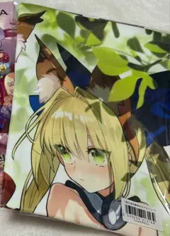 非売品・新品】ネロ 描き下ろし特大タペストリー Fate/EXTELLA - メルカリ