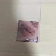 Nii様 専用　スキズ ate リップカード フィリックス