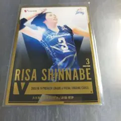 Item thumbnail for item 753a41d5-9eb9-4b52-a256-12b3b8406294