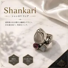 2026年最新】シャンカリ リングの人気アイテム - メルカリ