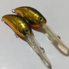 2026年最新】ダイビングペッパーの人気アイテム - メルカリ